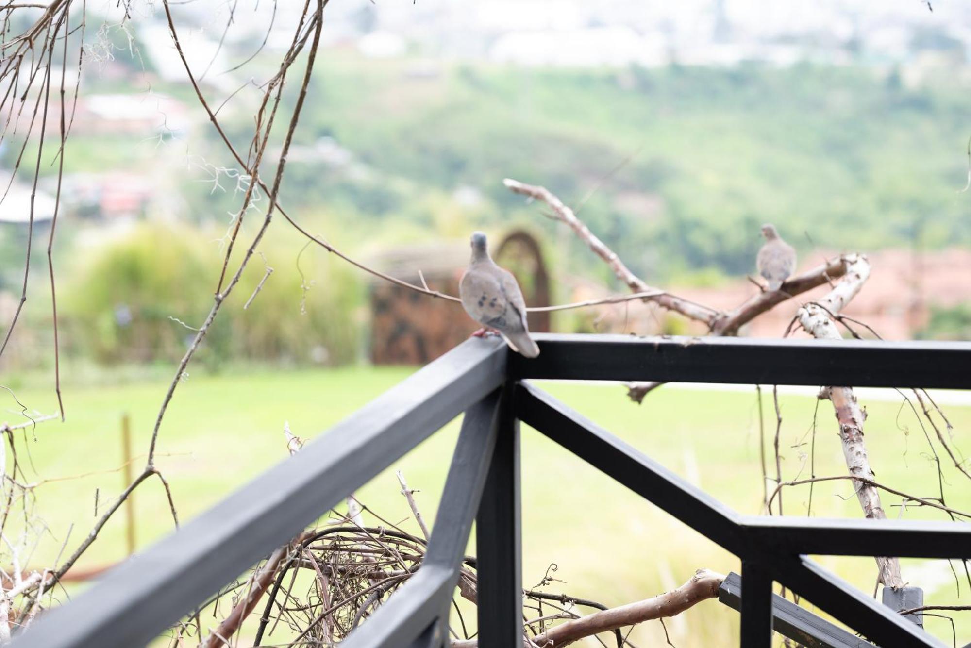 Hotel Pachamama Campestre Dosquebradas ภายนอก รูปภาพ